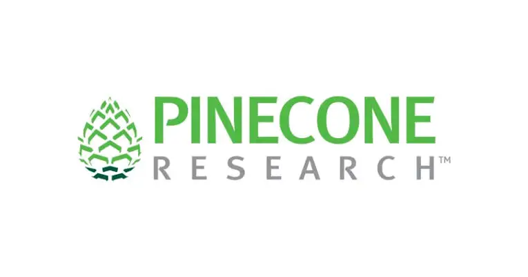 Pinecone Research Review: How it Works, What You Get, and Why It Matters”