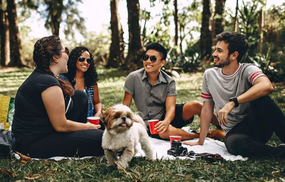 A group of students sitting outside in a park