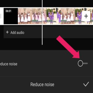 Click on the tool that reduces noise